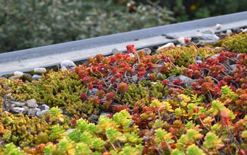 the cost of Dunstable green roof installation